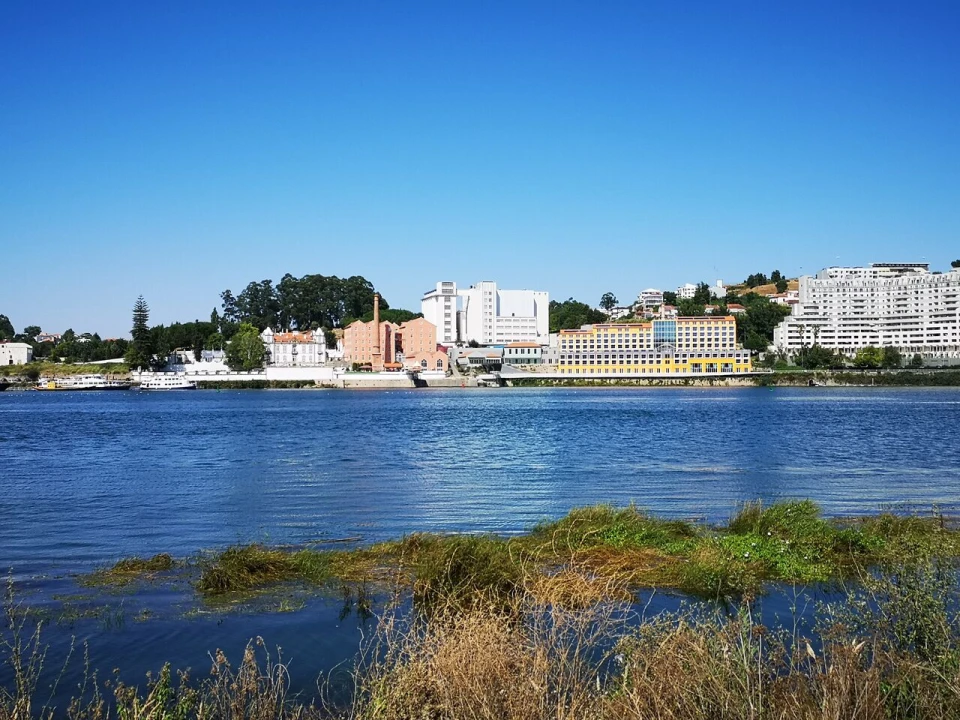 Quinta T7 para Venda em Oliveira do Douro Foto 1