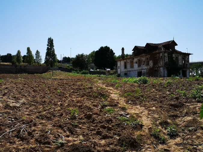 Quinta T7 para Venda em Oliveira do Douro Foto 5