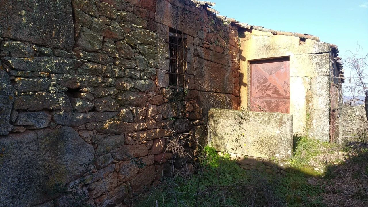 Quinta T8 para Venda em Vale do Côa Foto 11