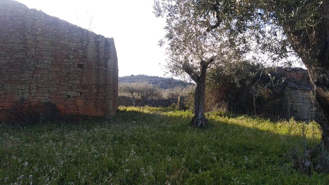 Quinta T8 para Venda em Vale do Côa Foto 3