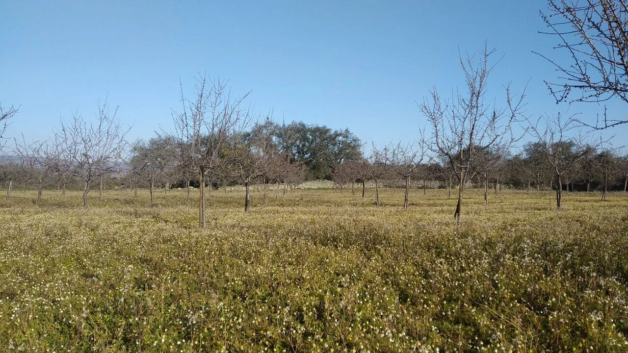 Quinta T8 para Venda em Vale do Côa Foto 20
