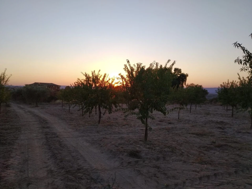 Quinta T8 para Venda em Vale do Côa Foto 23