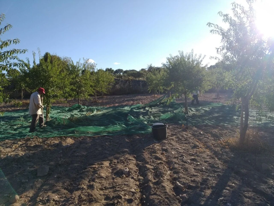 Quinta T8 para Venda em Vale do Côa Foto 24