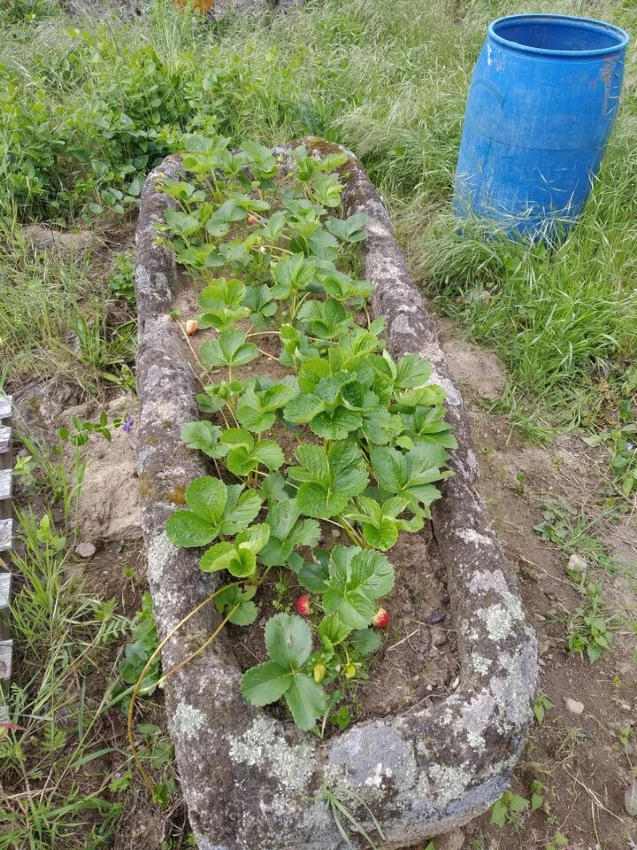 Quinta T8 para Venda em Vale do Côa Foto 25