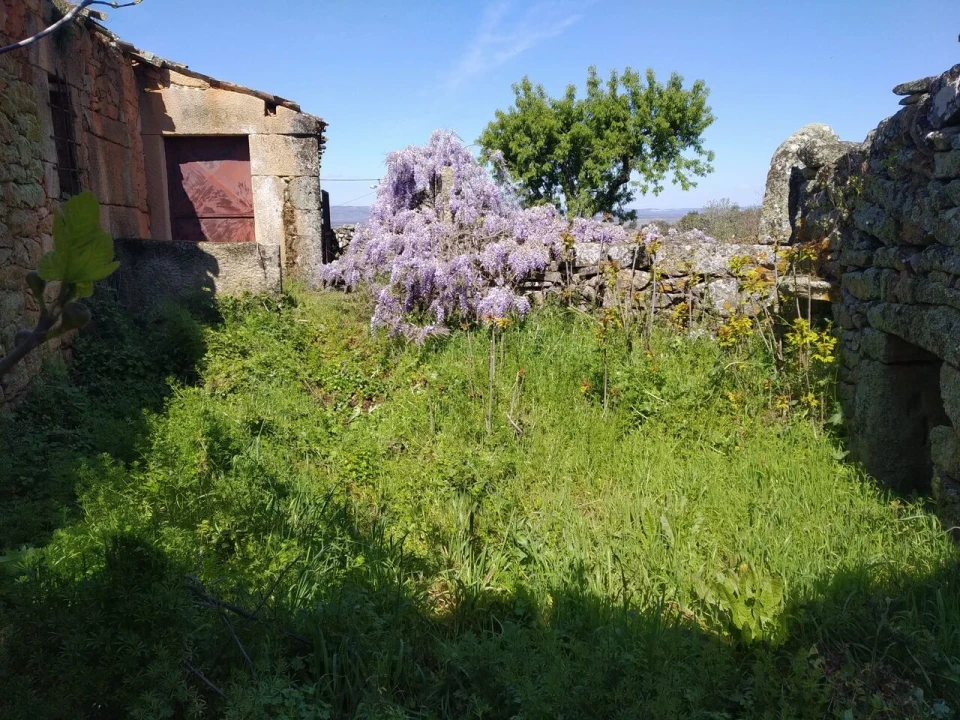 Quinta T8 para Venda em Vale do Côa Foto 4