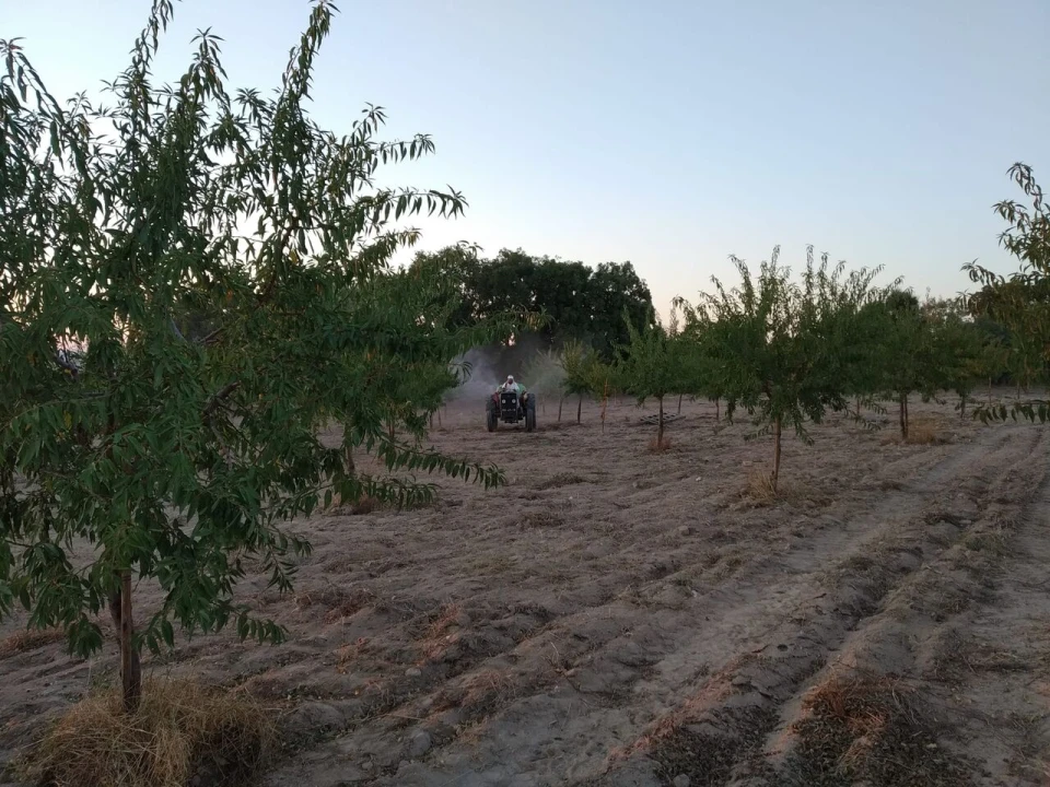 Quinta T8 para Venda em Vale do Côa Foto 27