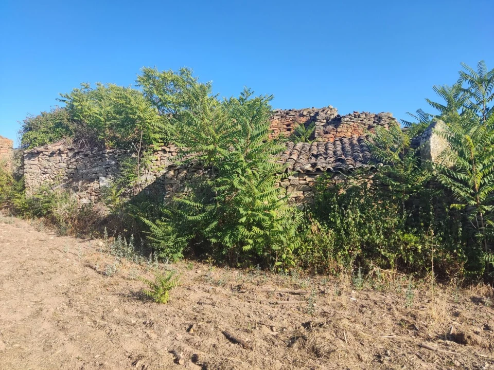 Quinta T8 para Venda em Vale do Côa Foto 30