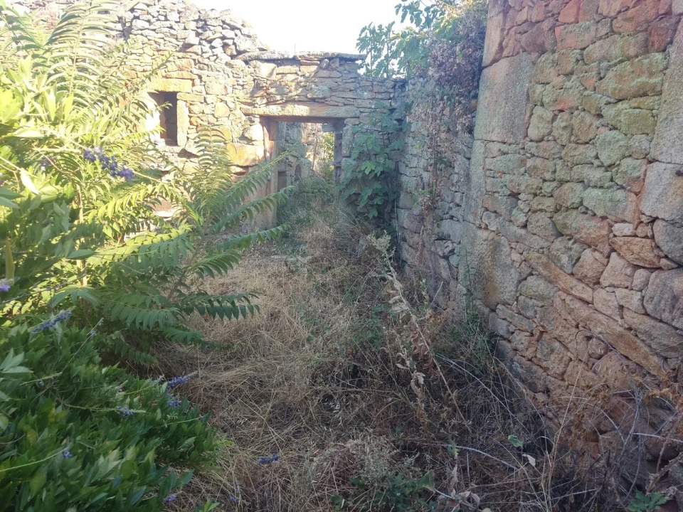 Quinta T8 para Venda em Vale do Côa Foto 35