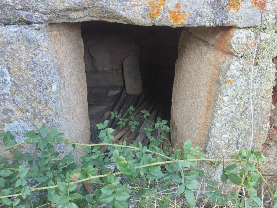 Quinta T8 para Venda em Vale do Côa Foto 39