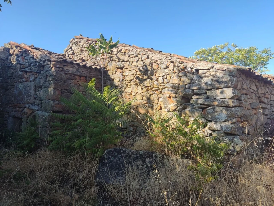 Quinta T8 para Venda em Vale do Côa Foto 43