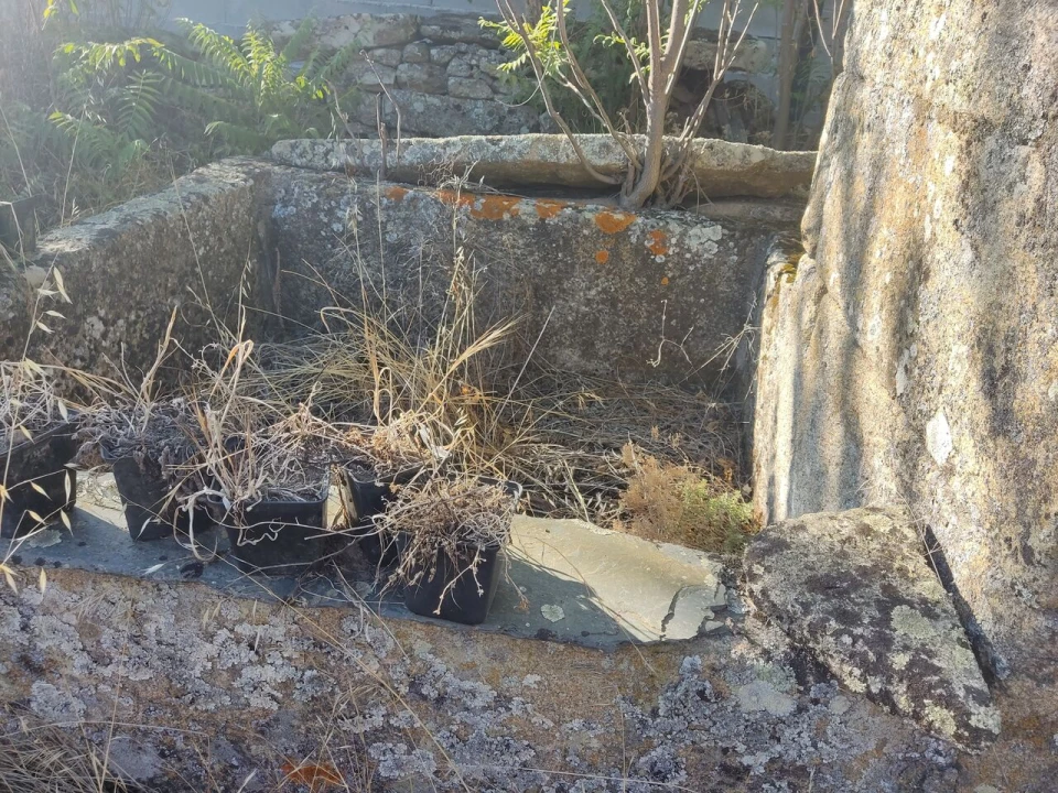 Quinta T8 para Venda em Vale do Côa Foto 44