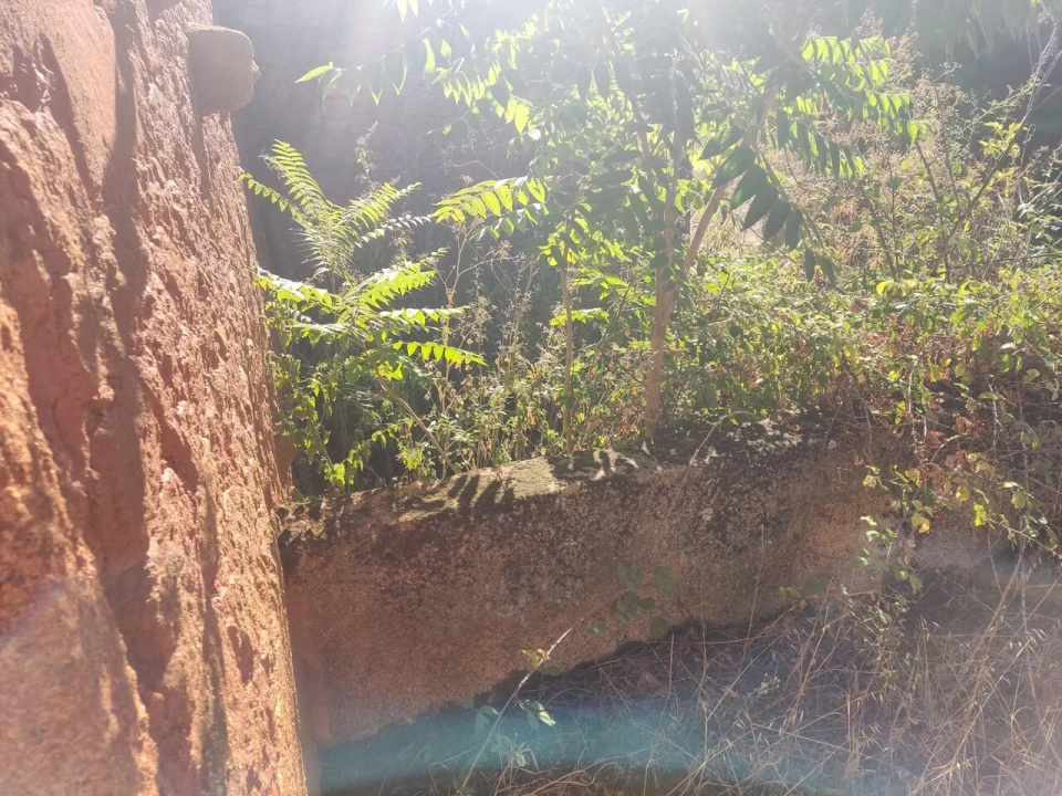 Quinta T8 para Venda em Vale do Côa Foto 50