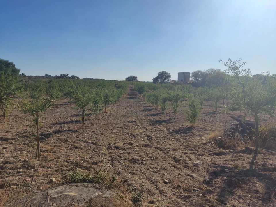 Quinta T8 para Venda em Vale do Côa Foto 55