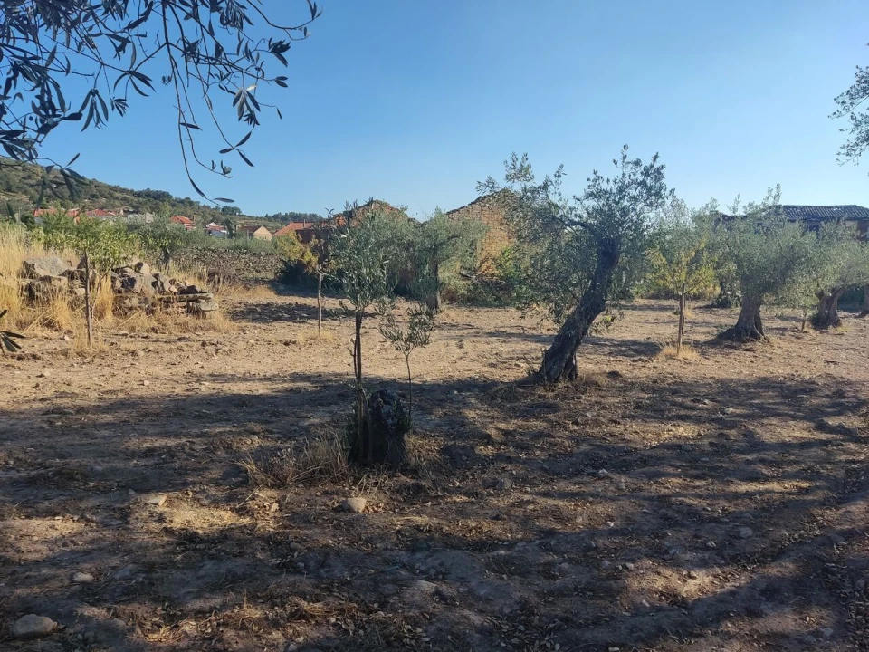 Quinta T8 para Venda em Vale do Côa Foto 58