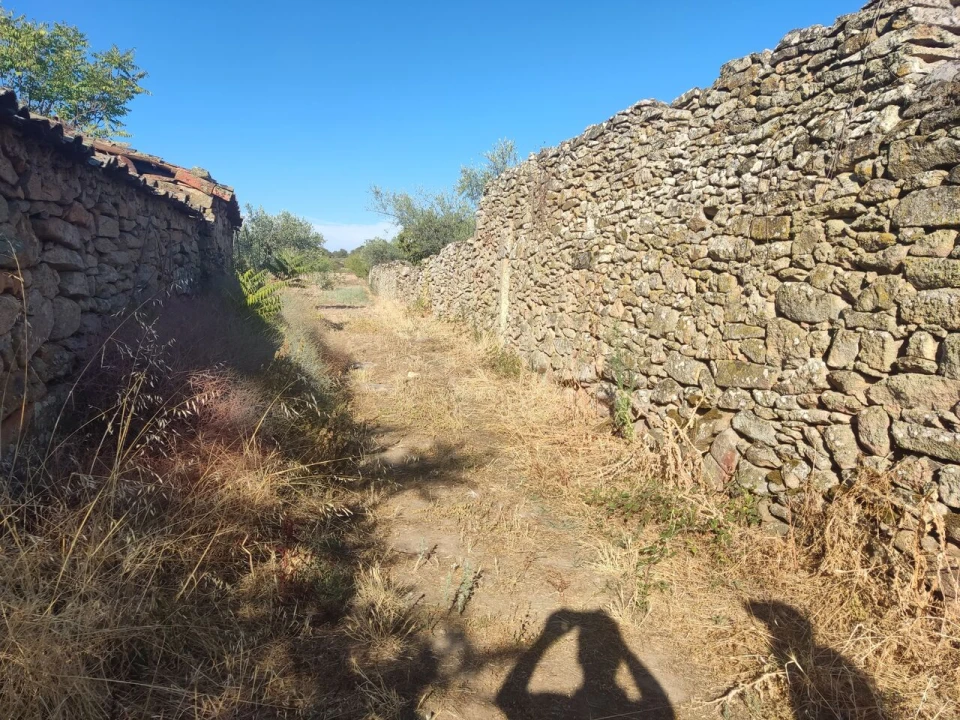 Quinta T8 para Venda em Vale do Côa Foto 59