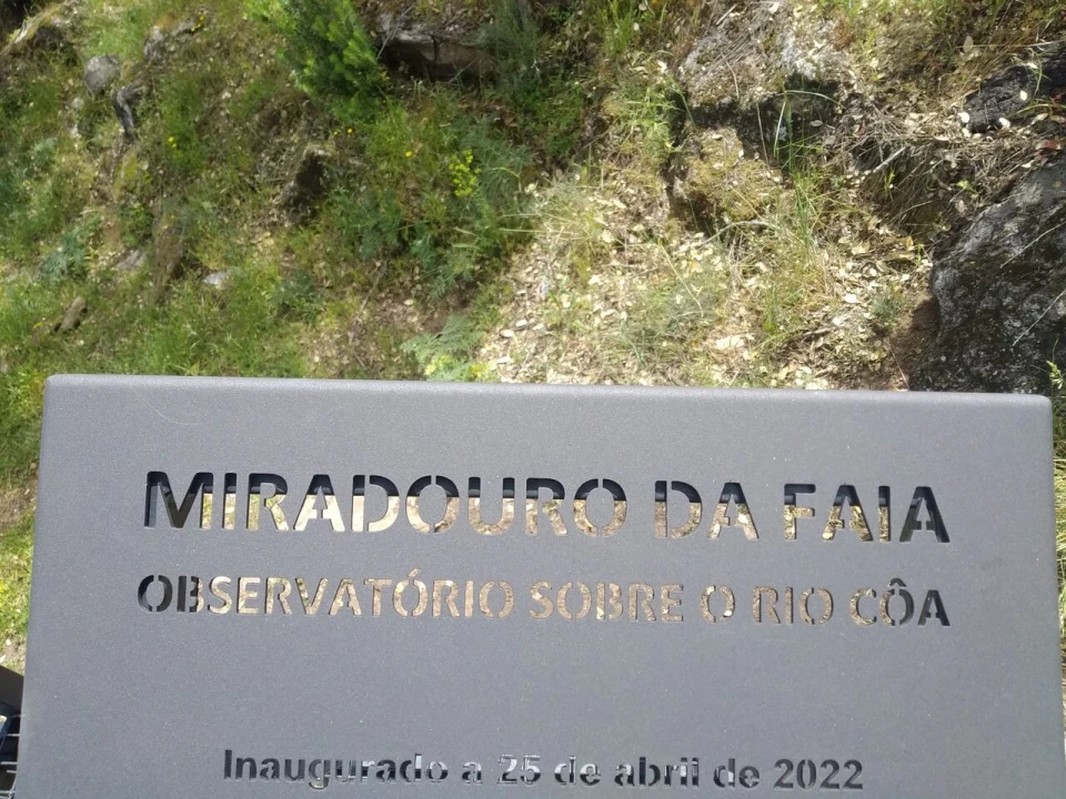 Quinta T8 para Venda em Vale do Côa Foto 60