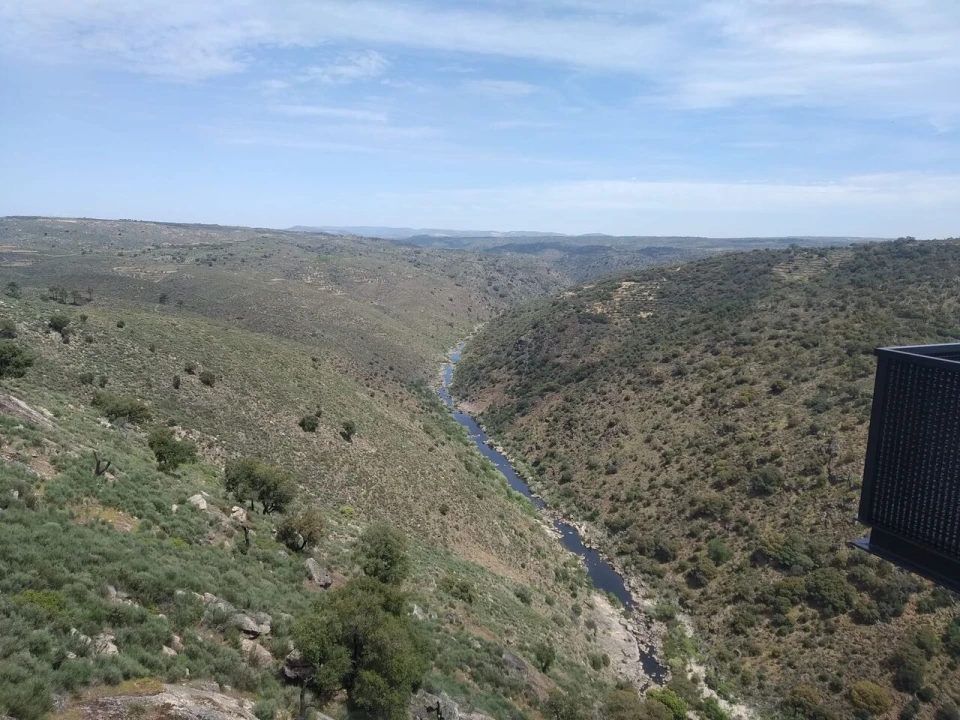 Quinta T8 para Venda em Vale do Côa Foto 63