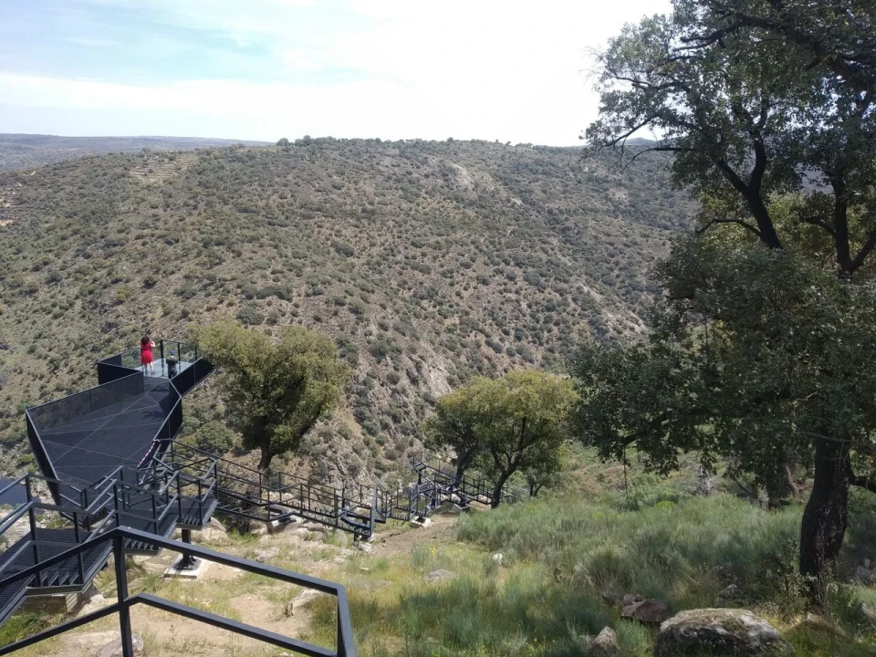 Quinta T8 para Venda em Vale do Côa Foto 64