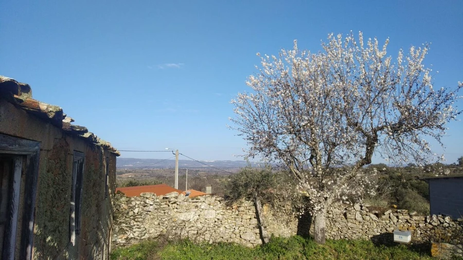 Quinta T8 para Venda em Vale do Côa Foto 2