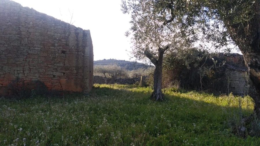 Quinta T8 para Venda em Vale do Côa Foto 3