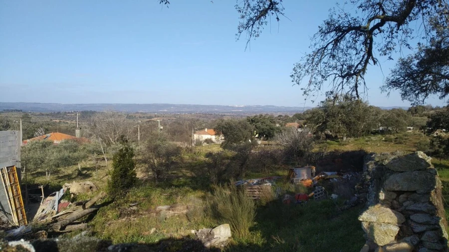 Quinta T8 para Venda em Vale do Côa Foto 18