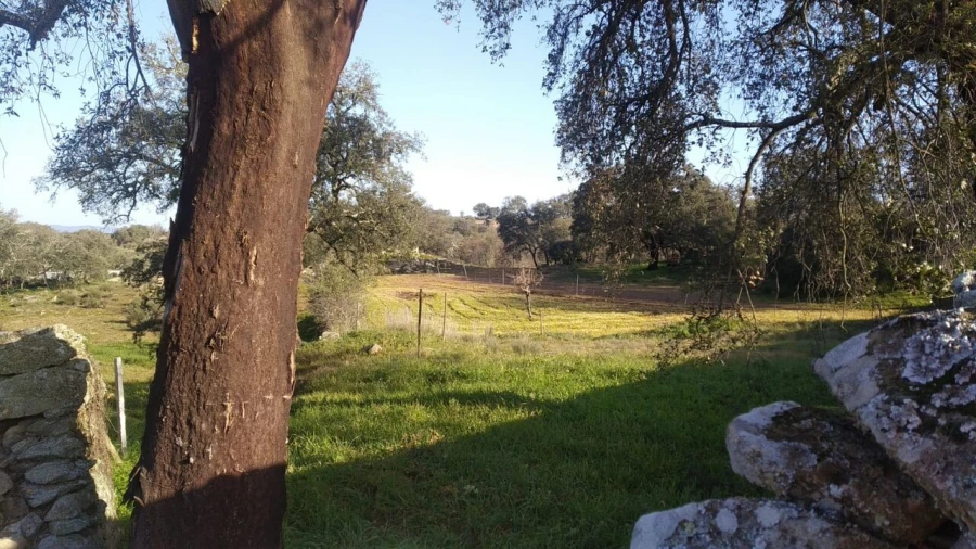 Quinta T8 para Venda em Vale do Côa Foto 21