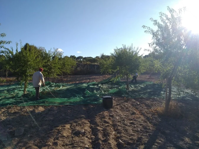 Quinta T8 para Venda em Vale do Côa Foto 22