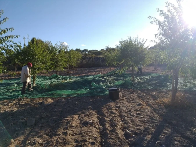 Quinta T8 para Venda em Vale do Côa Foto 24