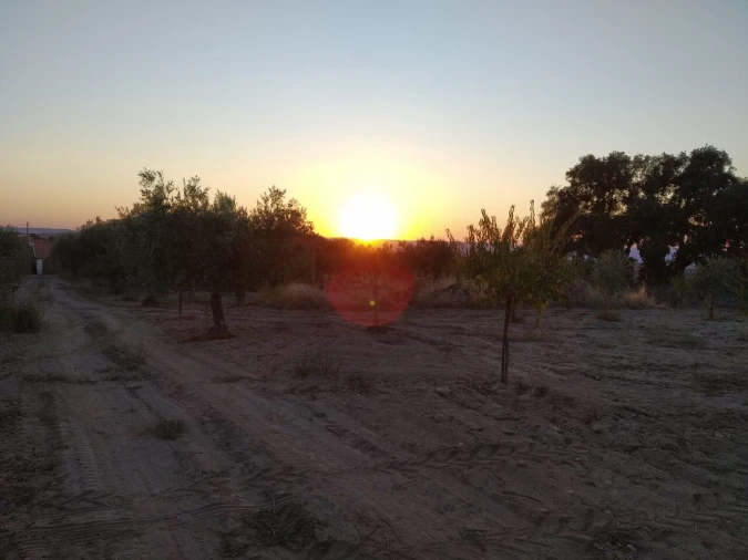 Quinta T8 para Venda em Vale do Côa Foto 26