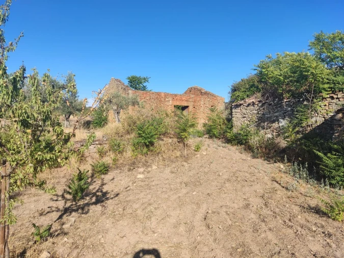 Quinta T8 para Venda em Vale do Côa Foto 32