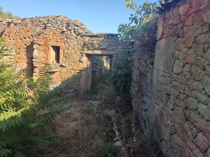 Quinta T8 para Venda em Vale do Côa Foto 34