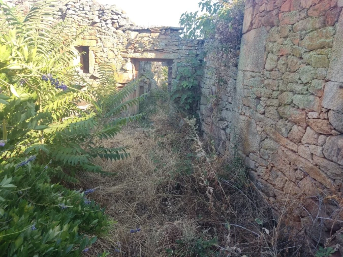 Quinta T8 para Venda em Vale do Côa Foto 35