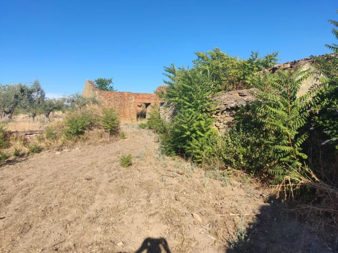 Quinta T8 para Venda em Vale do Côa Foto 36