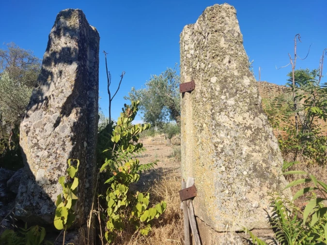 Quinta T8 para Venda em Vale do Côa Foto 41