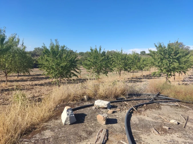 Quinta T8 para Venda em Vale do Côa Foto 46