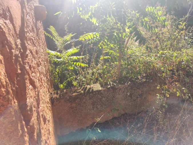 Quinta T8 para Venda em Vale do Côa Foto 50