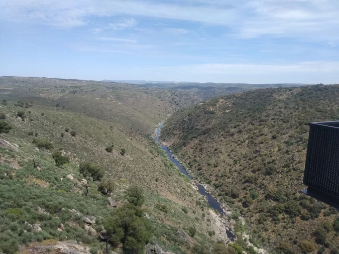 Quinta T8 para Venda em Vale do Côa Foto 63