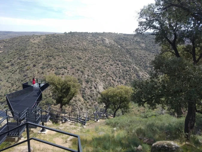 Quinta T8 para Venda em Vale do Côa Foto 64