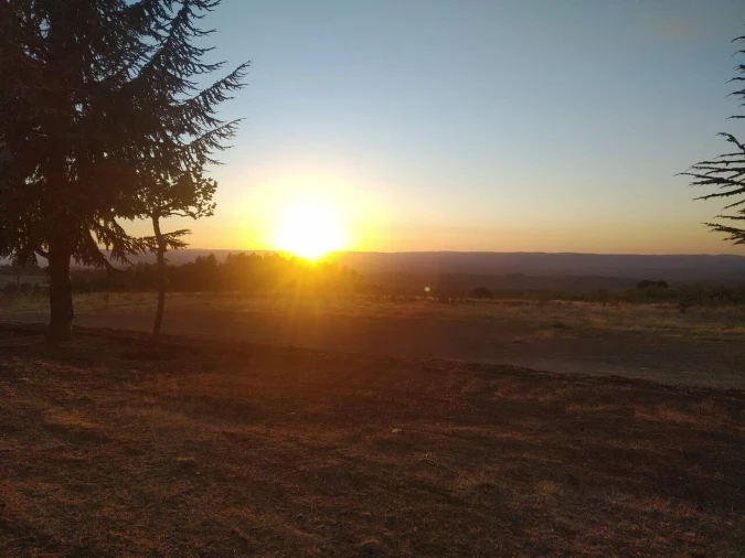 Quinta T8 para Venda em Vale do Côa Foto 5