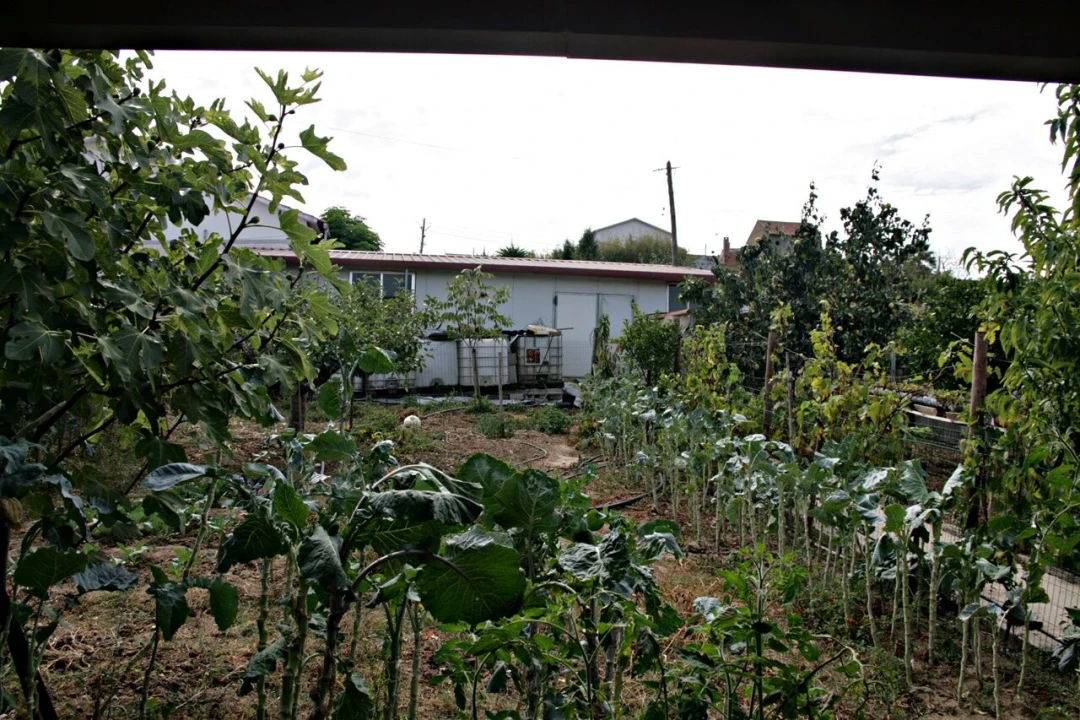 Moradia T3 para Venda em Soure Foto 7