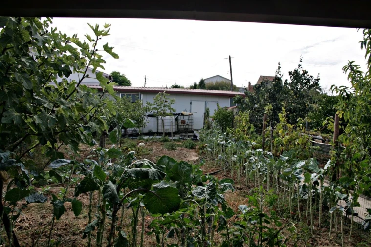 Moradia T3 para Venda em Soure Foto 7