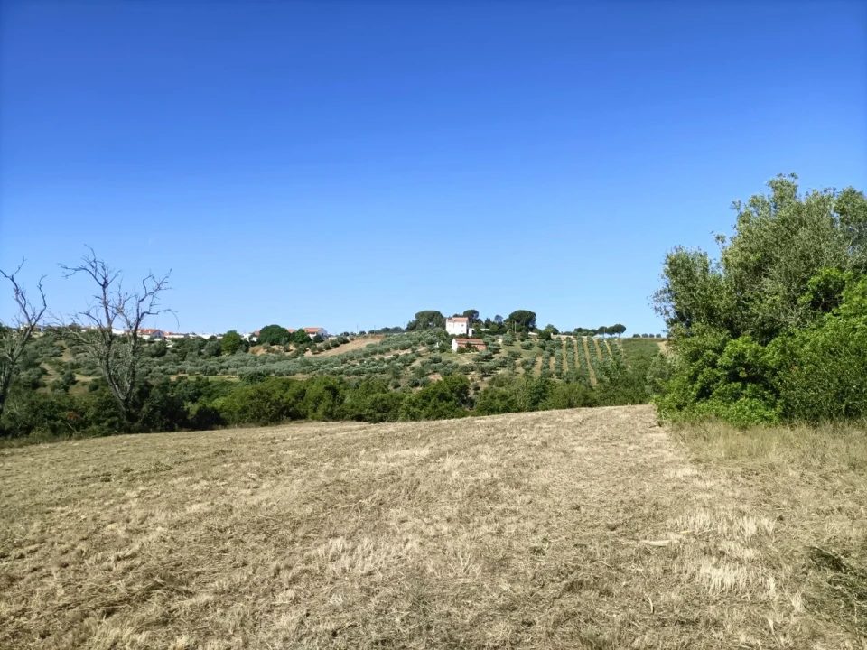 Terreno para Venda em Moçarria Foto 3