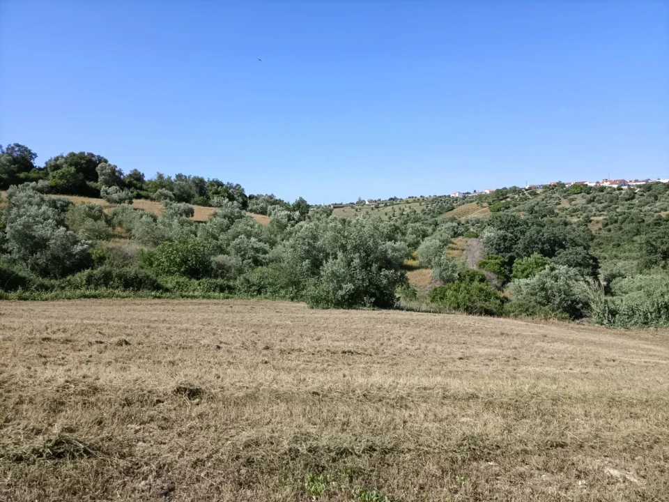Terreno para Venda em Moçarria Foto 5