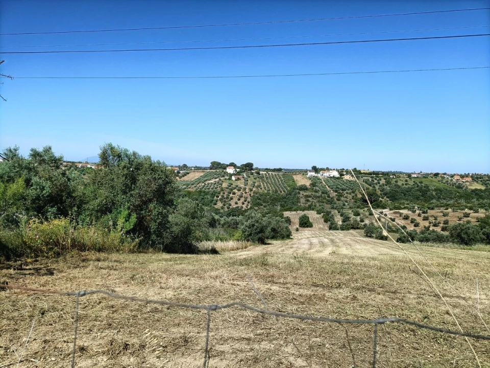 Terreno para Venda em Moçarria Foto 9