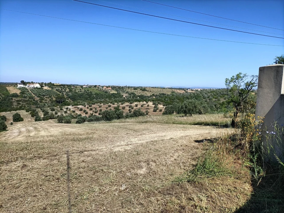 Terreno para Venda em Moçarria Foto 11