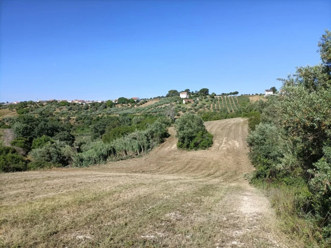 Terreno para Venda em Moçarria Foto 4