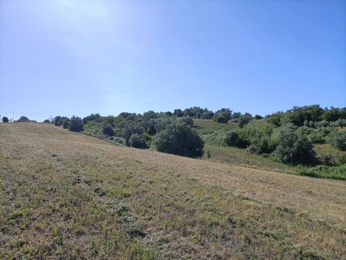 Terreno para Venda em Moçarria Foto 6