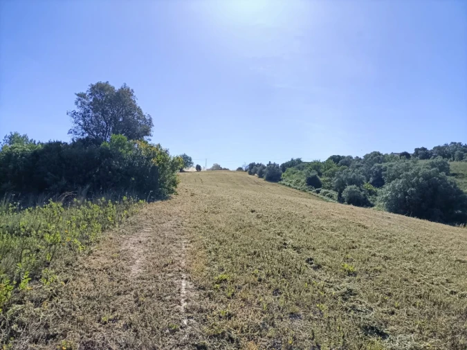 Terreno para Venda em Moçarria Foto 7