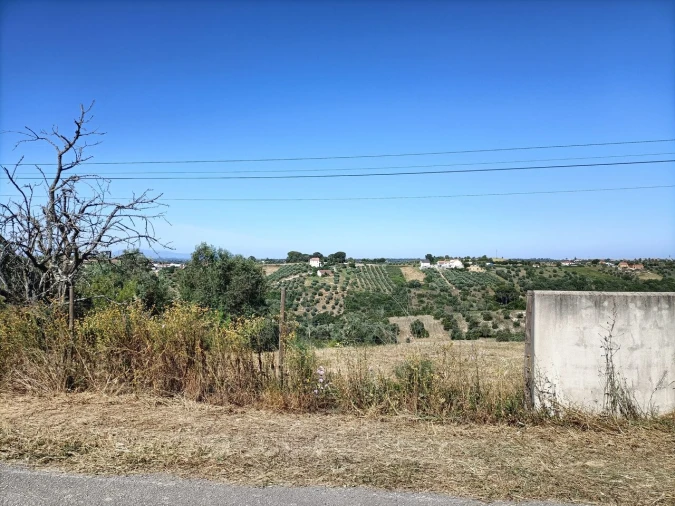 Terreno para Venda em Moçarria Foto 8