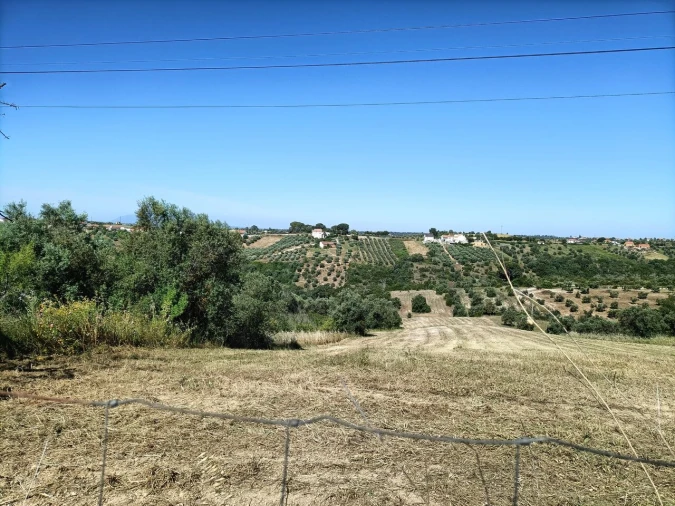 Terreno para Venda em Moçarria Foto 9